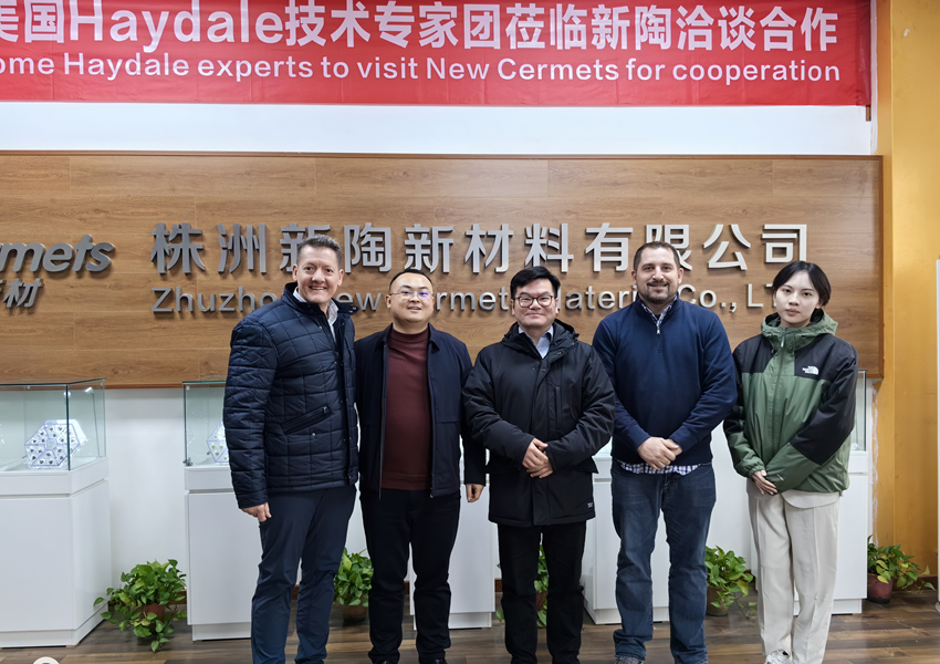 The technical experts of Haydale whisker products in the United States visited our company